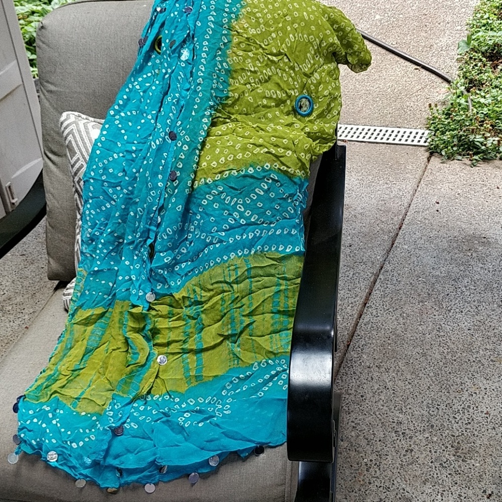 Beautiful embellished authentic sarong